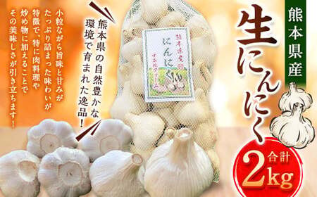 熊本県産 生にんにく 2kg 【2026年11月下旬発送開始】 にんにく ニンニク 生ニンニク 野菜 やさい 熊本県 常温