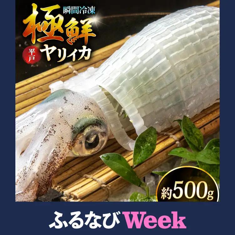 【ふるなびWEEK対象】 イカ 極鮮ヤリイカ 刺身 約500g