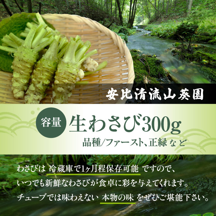 生わさび 300g 【安比清流山葵園】 ／ わさび 山葵 ワサビ 生山葵 生ワサビ 新鮮 薬味 産地直送 国産 岩手県産