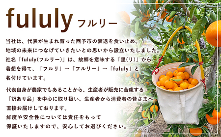 ＜fululy直送 柑橘詰合せセット 約3kg＞ 詰め合わせ 旬 食べ比べ おまかせ 果物 フルーツ 蜜柑 ポンカン 伊予柑 せとか 甘平 八朔 はるか 文旦 柑橘 贈答用 合同会社fululy 直送