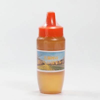 ふるさと納税 大潟村 大潟村産はちみつ(百花蜜) 500g |  | 01