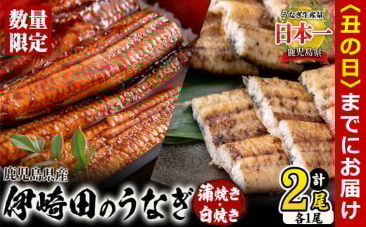 【丑の日までに配送】【数量限定】鹿児島県産 伊崎田のうなぎ蒲焼き＆白焼きセット(計2尾/各1尾/計270g以上) a5-240-us