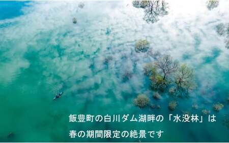 絶景 水没林カヌープレミアムツアー（10名様分）癒しの自然満喫プレミアムアクティビティ