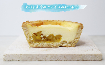 マンゴーチーズタルト　1箱(5個セット) おきぽた チーズタルト マンゴー スイーツ 専門店 OKIPOTA 洋菓子 焼き菓子 タルト生地 果肉 贅沢 高級 人気 おすすめ お土産 ギフト プレゼント