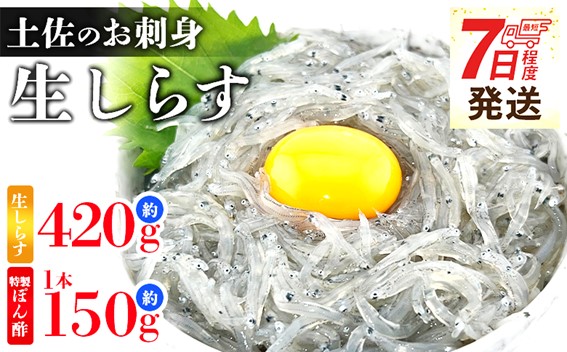 生しらす 6パック 計420ｇ 小分け 特製タレ付 国産 早い 特選 特製タレ付 料理 アレンジ しらす シラス 生シラス 稚魚 魚介 魚 海産物 鮮度抜群 瞬間冷凍 やみつき ごはんのお供 fa-0007
