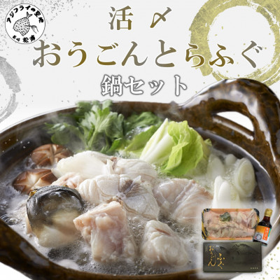 活〆おうごんとらふぐ鍋セット【配送不可地域：離島】【1219480】
