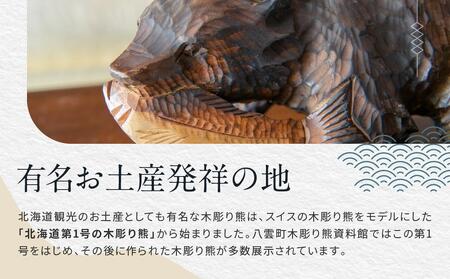 北海道八雲町　宿泊割引券3,000円分×5枚 | 旅行　旅行　旅行　旅行　旅行　宿泊券　宿泊券　宿泊券　宿泊券　宿泊券　【 宿泊券 割引券 旅行 ホテル ホテルチケット 観光 宿泊 ご当地 八雲町 北