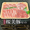 【ふるさと納税】A05-306 庄内産桜美豚セット（豚肉） | 山形県 鶴岡市 山形 鶴岡 返礼品 お取り寄せグルメ 取り寄せ 楽天ふるさと 納税 ポーク お肉 ご当地グルメ ぶた ブタ 詰め合わせ 肉セット 食べ比べセット 美味しい ヒレ肉 ロース