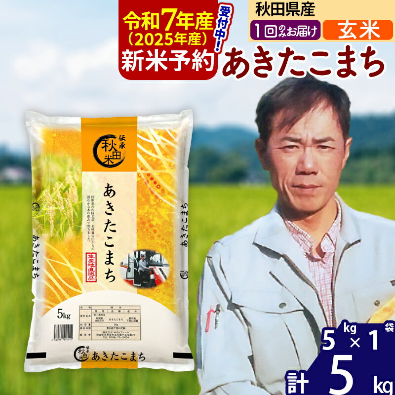 【ふるさと納税】※令和7年産 新米予約※秋田県産 あきたこまち 5kg【玄米】(5kg小分け袋)【1回のみお届け】2025産 お米 みそらファーム