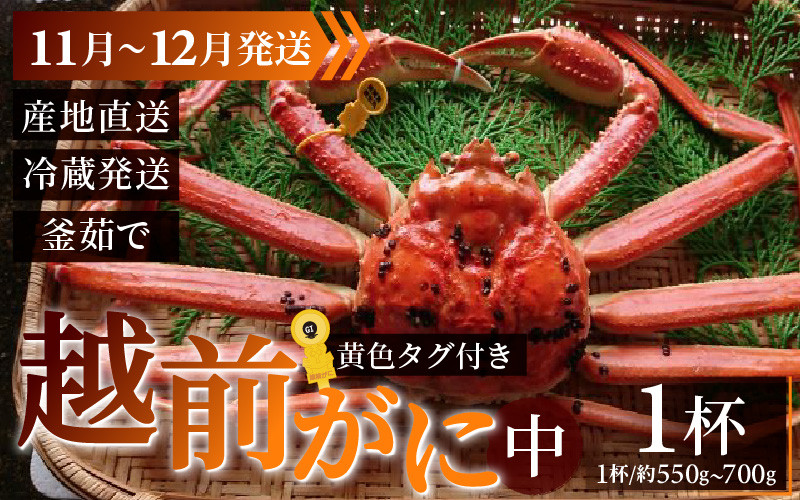 
            【先行予約】越前がに 中 (約550g～700g)×1杯【11月～12月発送】
          