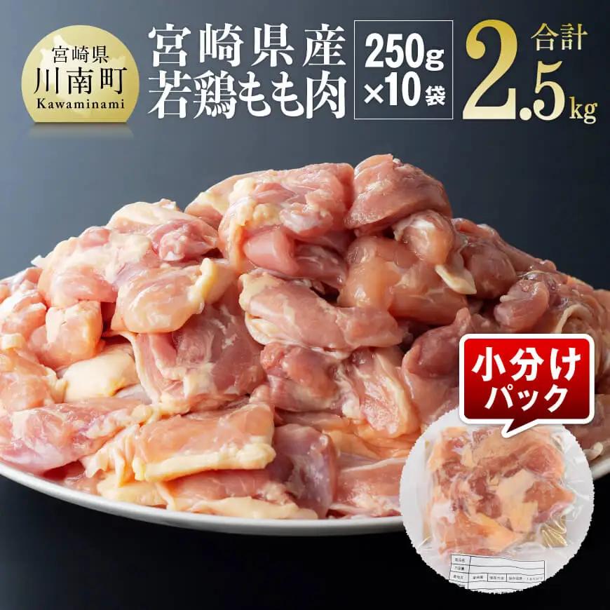 鶏肉【令和8年10月発送】（小分け）宮崎県産若鶏もも肉2.5kg（250g×10袋）鶏肉