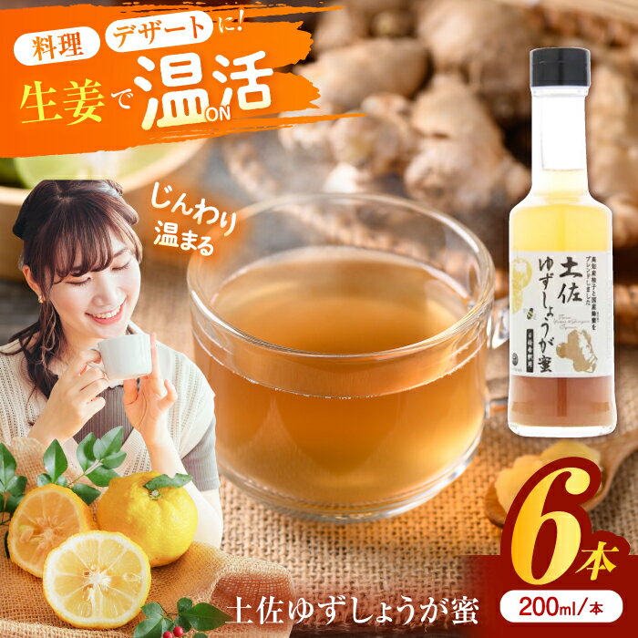 【ふるさと納税】土佐ゆずしょうが蜜6本【はるのTERRACE】[ATAV010]