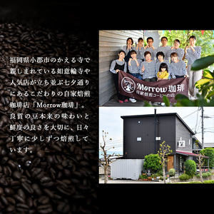 定期便 6ヶ月 世界最高峰 珈琲の一つ ゲイシャ (粉) 100g×2 ポスト投函 珈琲 コーヒー 6回 お楽しみ Morrow珈琲 