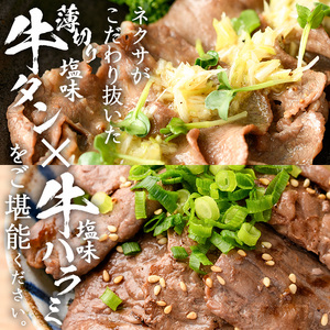 ＜定期便・全12回 (毎月の発送)＞ たっぷり！ 薄切り 塩 牛タン・牛ハラミ セット (総量14.4kg) 小分け 牛肉 肉 タン たん ハラミ はらみ 詰め合わせ 味付け 焼肉 BBQ 冷凍 大分