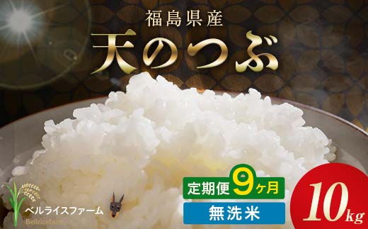 〈先行予約〉令和8年産【お米の定期便】9ヶ月配送 農家直送 ベルライスファーム 天のつぶ 無洗米 10kg F6U-459