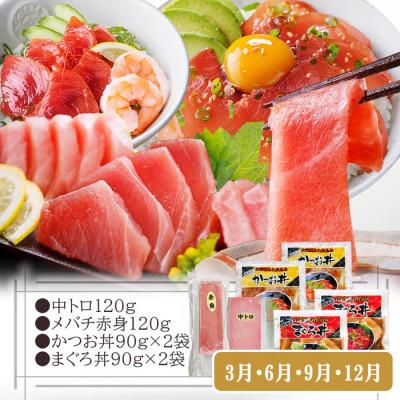 ふるさと納税 枕崎市 定期便3回配送　鰹とまぐろのお魚定期便　QQ-0005 |  | 03