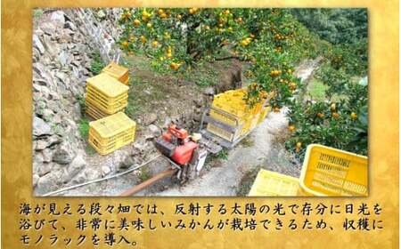 鹿蔵 プレミアム 有田みかん ( ゆら早生 ) 1kg+250g（傷み補償分） 光センサー 選果　※北海道・沖縄・離島への配送不可 / 温州 みかん 厳選 柑橘 果物 フルーツ 和歌山 【ikd003