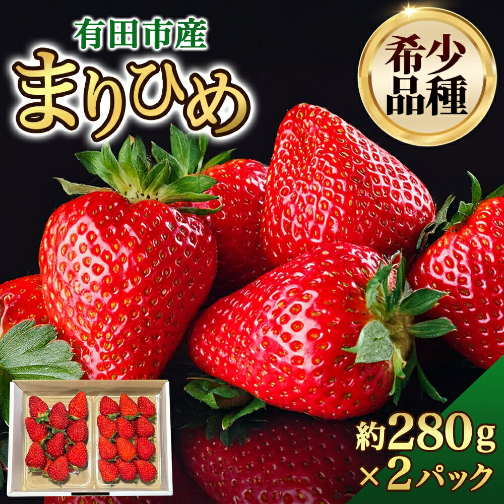 【ふるさと納税】★1月も順次発送★ いちご まりひめ 大粒 約280g×2パック 和歌山 苺 イチゴ 産地直送 濃厚 甘い フルーツ 果物 くだもの 人気 おすすめ 送料無料 国産 和歌山県有田市 （A462-2）