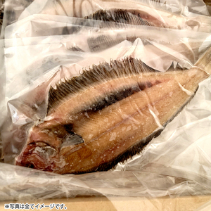 13-022 一夜干しナメタカレイ 12枚入り
