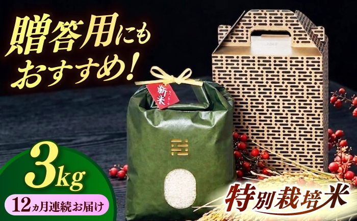 
                  【全12回定期便】とくべつの中のとくべつ 特別栽培米 夢つくし 3kg itoshimacco《築上町》【株式会社やました】 [ABEX004]
                