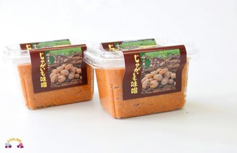 ～赤土育ちのじゃがいも使用～徳之島のじゃがいも味噌（無添加） ( 味噌 みそ 調味料 じゃがいも 伝統 徳之島 奄美 鹿児島 郷土料理 美味しい )