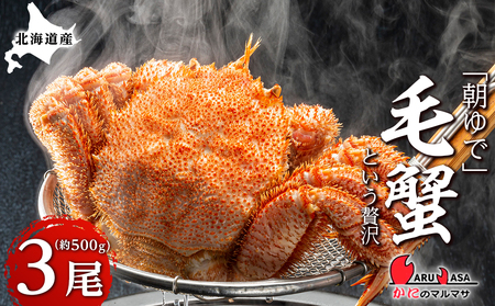 北海道産【朝ゆで】毛ガニ（500g前後）3尾 期間限定！＜かにのマルマサ＞ かに 毛がに カニ 千歳 北海道 海鮮