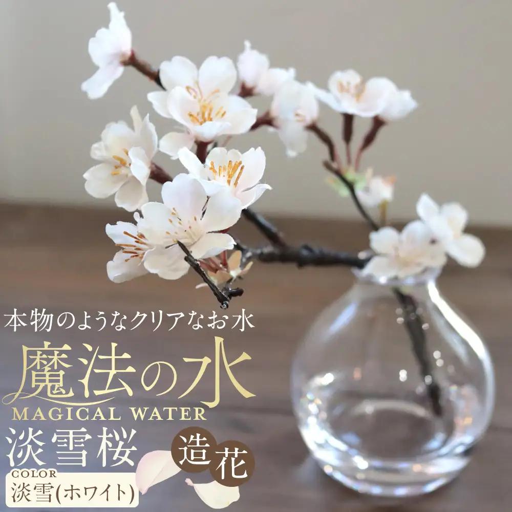 新春　淡雪桜　さくら　魔法の水　マジカルウォーター『淡雪』