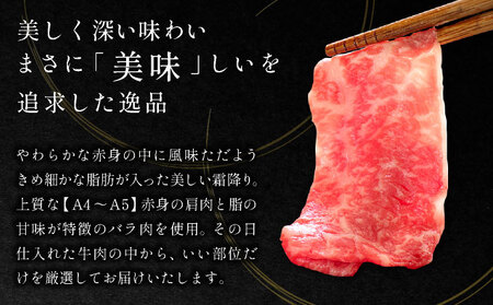 訳アリ！艶さし！佐賀産和牛切り落とし　600ｇ