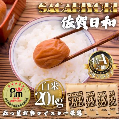 ふるさと納税 多久市 令和7年産 さがびより白米20kg(5kg×4袋)(多久市)