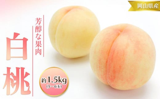 桃 2025年 先行予約 白桃 1.5kg 5～6玉 もも モモ 岡山 国産 フルーツ 果物 ギフト 桃茂実苑