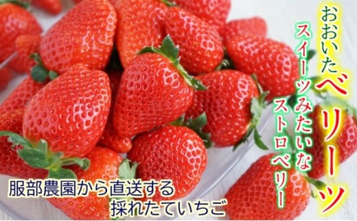 2月発送!服部さんちのいちご約1.04kg/品種ベリーツ_1441R-2