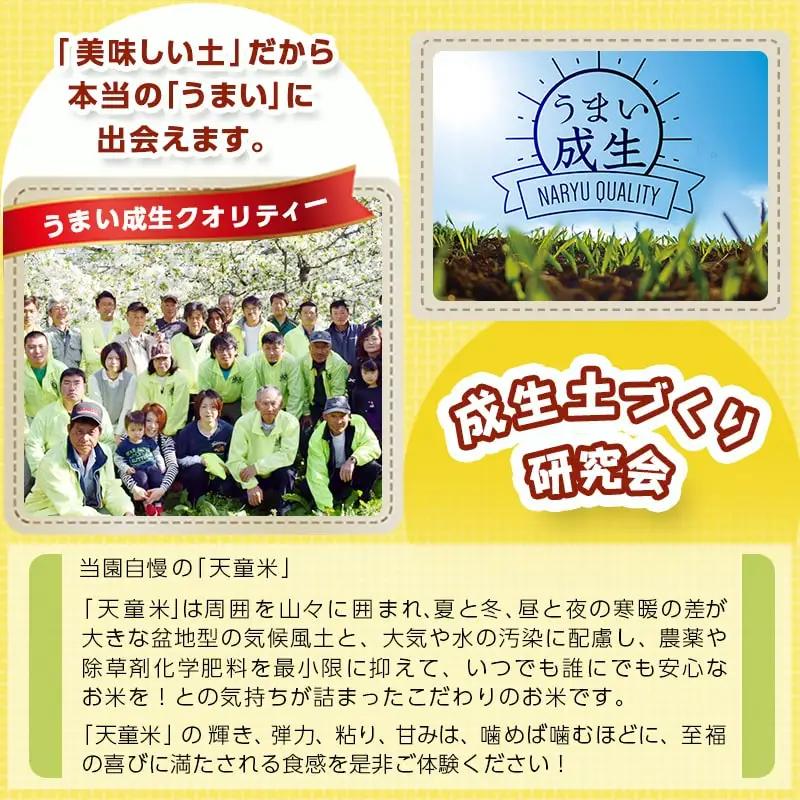 和梨 ( 南水 ) 約 2.5kg フルーツ 果物 山形 梨