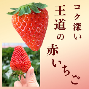 【訳あり】冷凍いちご いちご 1kg入り 冷凍 フローズン果物 デザート 赤いちご 苺 イチゴ 果物 くだもの フルーツ 旬のフルーツ 季節のフルーツ 旬の果物 季節の果物 福岡 福岡県 小郡市