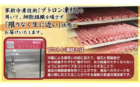 近江牛A5ランク切落し700g　肉のげんさん