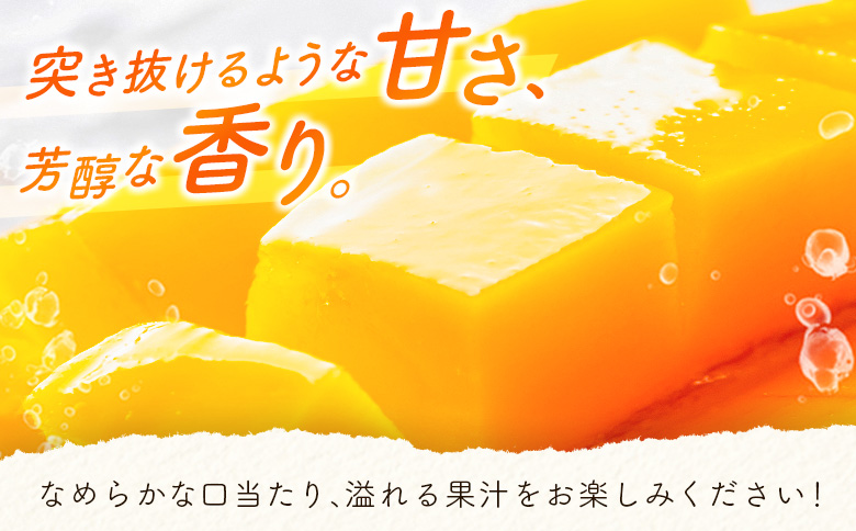 数量限定 宮崎県産 完熟マンゴー＜太陽のタマゴ＞2L×3玉（計1kg以上）※2027年4月下旬配送開始 化粧箱入 フルーツ くだもの【E167-27】