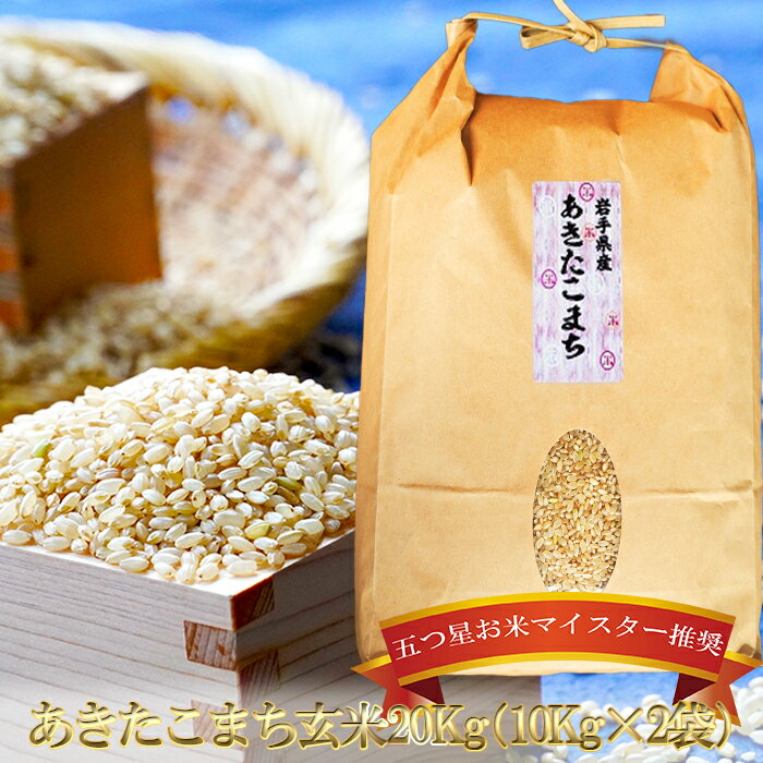 【ふるさと納税】盛岡市産あきたこまち玄米 20kg お米 あきたこまち