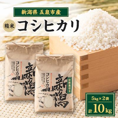 ふるさと納税 五泉市 【先行受付】令和8年産新潟県五泉市産　コシヒカリ　10kg(5kg×2袋)　精米