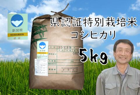 【ふるさと納税】【令和6年産】新潟県認証 特別栽培米 コシヒカリ 5kg 新潟県 阿賀野市 白米 精米 さいとう農園