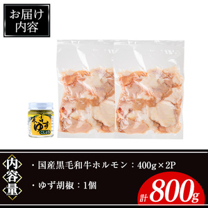国産 黒毛和牛 ホルモン 計800g(400g×2P)&ゆず胡椒(1個) 牛肉 【ナンチク】A994