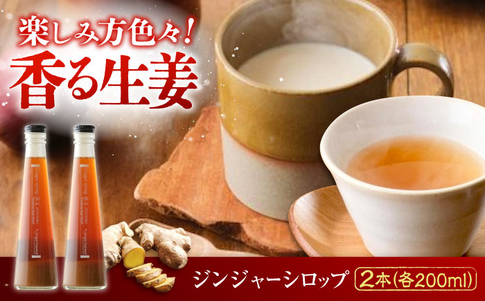 国産生姜シロップ ジンジャーシロップ珠玉 200ml×2本 詰合せ　広島県福山市/ジンジャーダイヤモンド 生姜 しょうが ショウガ シロップ 生姜シロップ 生姜湯 国産 [BAAV004]