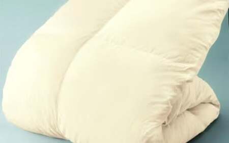 マンション専用 シングル サイズ 羽毛布団 （ ダウン 85% ・ 充填量 700g ・ アイボリー ） 洗える 羽毛ふとん 収納ケース付き 軽い 軽量 節電 対策 福岡県 筑後市