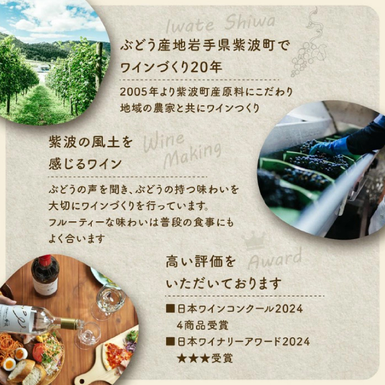 ＼贈り物・ギフトに最適／ 紫波町産 ワインぶどう 100% テロワール 「ワインコンクール受賞ワイン２本セット」 (AL071)