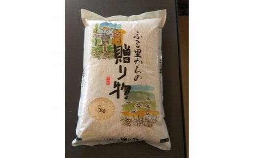 
＜令和5年産＞みよし市産大地の風精米5kg　【1129000】
