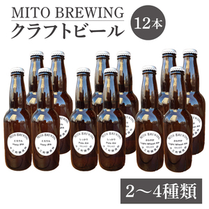 第１回水戸さきがけビジネス大賞 優秀賞受賞！【ぬりや】クラフトビール12本詰め合わせ（GW-2）