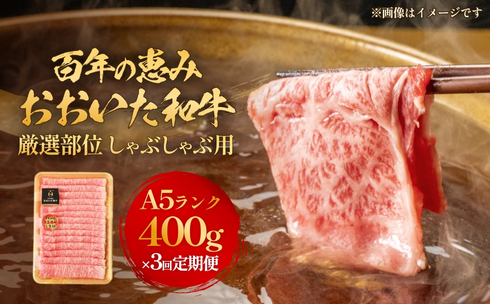 「百年の恵み おおいた和牛 」しゃぶしゃぶ用 400g × 3ヶ月 定期便 おおいた和牛 黒毛和牛 A5 等級 しゃぶしゃぶ用 牛肉 ロース 肩ロース もも 肩 部位 霜降り 血統 風味 脂肪 産地 九州 大分 肉 食材 グルメ 豊後牛
