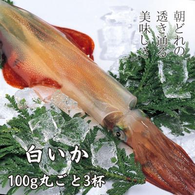 ふるさと納税 海士町 白いか丸ごと 100g×3本セット 朝どれ