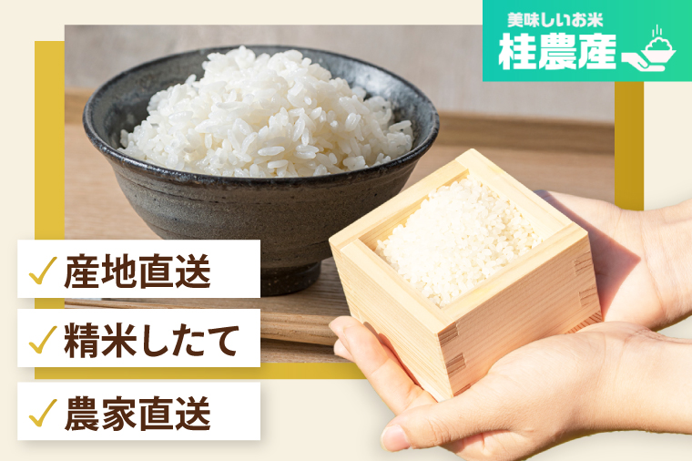【数量限定】【令和7年産】茨城県産コシヒカリ 那珂川の清流 ホタル米5kg（茨城県共通返礼品/城里町）【お米 ごはん こしひかり おいしい 白米 茨城県産 水戸市】（IH-5102）