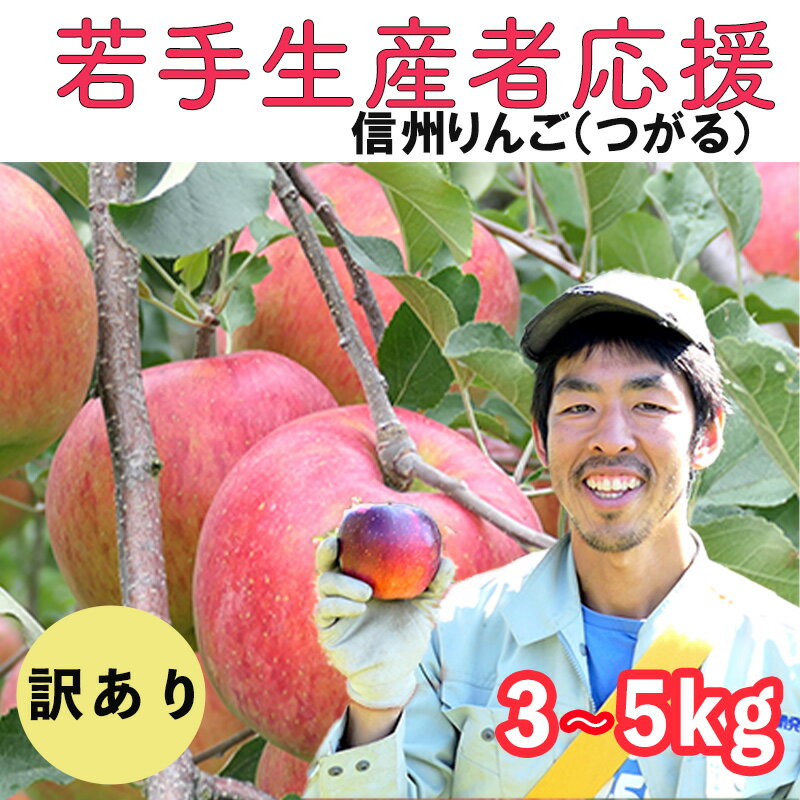 【ふるさと納税】 訳あり りんご 選べる 3kg 5kg 【若手生産者応援】つがる サンつがる 川上 啓介 果物 フルーツ 先行 予約 信州 長野県 長野 麻績村 不揃い 規格外 家庭用 産地直送 聖耕園 麻績 おみ 自宅用 8月 下旬 9月 上旬 2025年収穫分 先行予約 予約