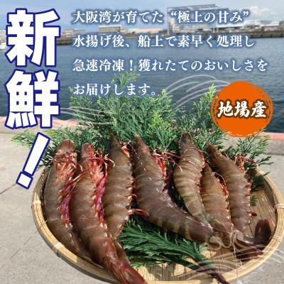 ふるさと納税 泉佐野市 足赤エビ 250g 国産 天然 生食可  010B1862 |  | 01