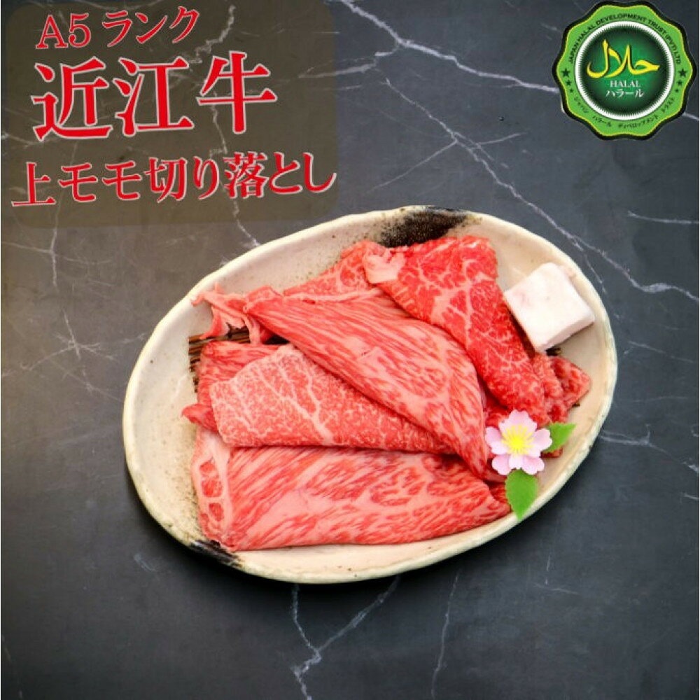 【ふるさと納税】近江牛小間切れ250g【 近江牛 ハラルビーフ 切り落とし 澤井姫和牛 】